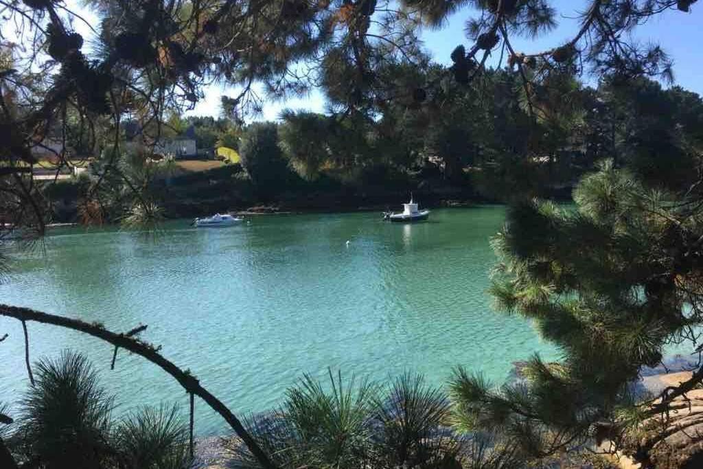 L'Olivier Du Cabellou, A 900 M Des Plages 콩카르노 외부 사진