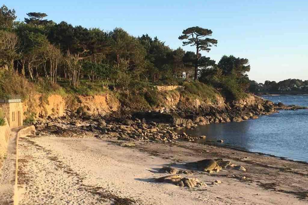 L'Olivier Du Cabellou, A 900 M Des Plages 콩카르노 외부 사진